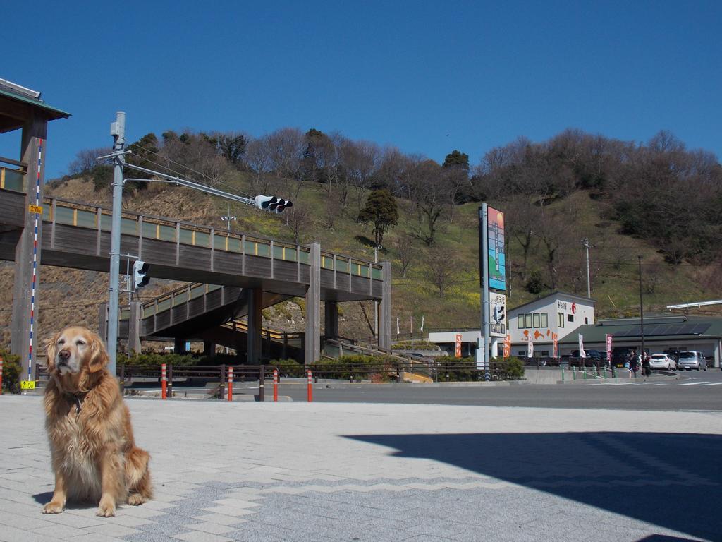 Hojo Suigun Youth Hostel Matsuyama  Buitenkant foto